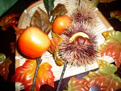 20100922 002.jpg